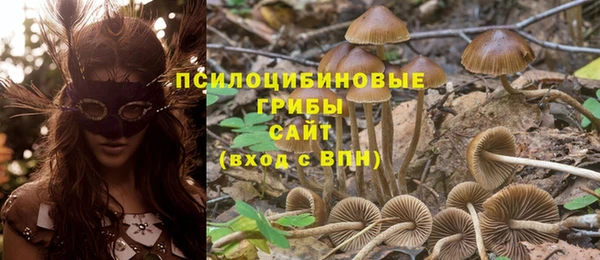 jwh Осташков