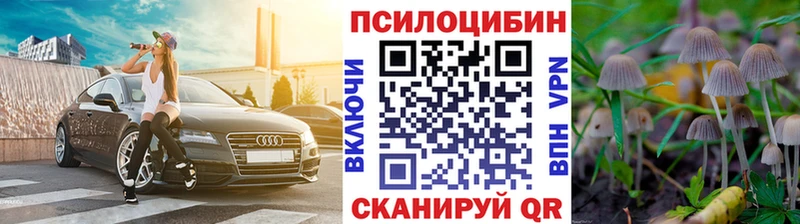 купить наркоту Лермонтов Псилоцибиновые грибы GOLDEN TEACHER
